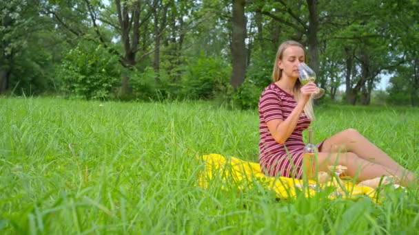 Frau entspannt sich im Freien, trinkt Wein beim Picknick — Stockvideo
