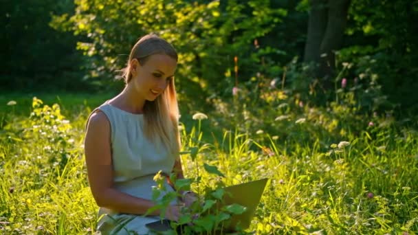 Chica joven sentada en el prado a la hora de verano y escribiendo en el ordenador portátil — Vídeos de Stock