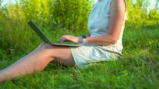 夏天，小女孩坐在草地上，在笔记本电脑上打字 — 图库视频影像