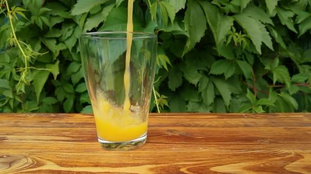 Χύνοντας φρέσκο σπιτικό χυμό πορτοκαλιού σε ποτήρι στον κήπο — Αρχείο Βίντεο