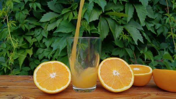 Nalévání čerstvé domácí pomerančové šťávy ve skle na zahradě — Stock video