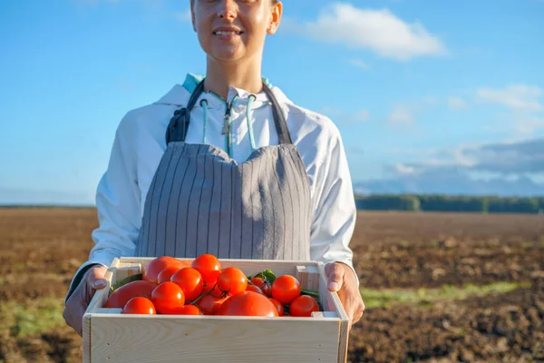 Fermier avec boîte en bois pleine de tomates — Photo