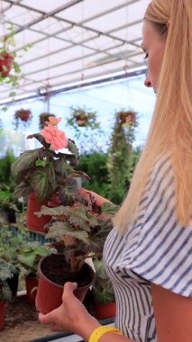 Çizgili elbiseli bir kadın sera dükkanında saksı çiçeği seçiyor. Bahçe işleri, eko yaşam tarzı, sürdürülebilir alışveriş, ev dekorasyonu, çiçek pazarı, bahçıvanlık, kentsel bahçe ve doğal yeşillik ile iç dekorasyon kavramı.