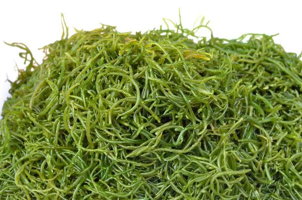 Fresh Green Seaweed White Background — Stock Photo, Image