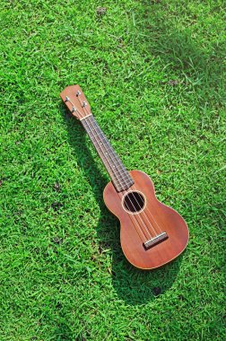 Yeşil çim çimen arka plan üzerinde bir ukulele