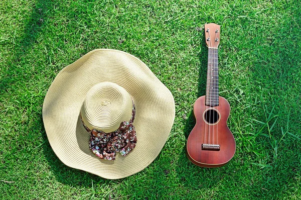 Top view of ukulele and hat on grass