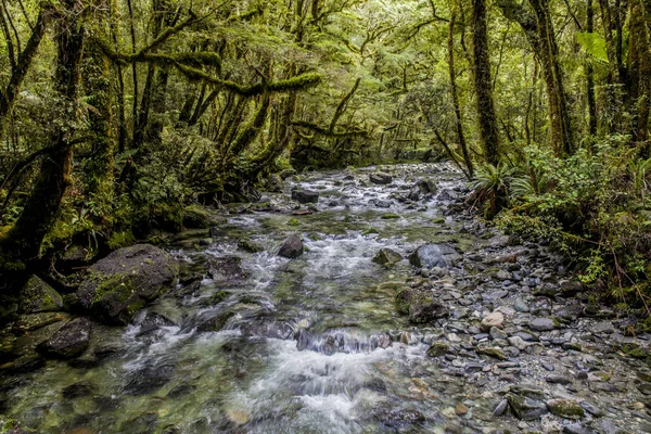 Milford Track Nueva Zelanda — Foto de Stock