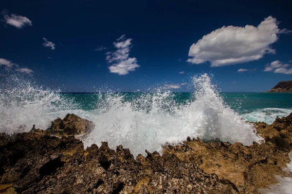 Dalgalar, Oahu Hawaii gürültüyle çarpmak.