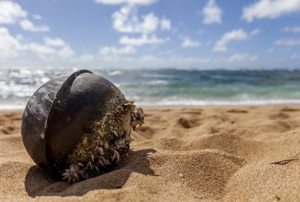 Bouy karaya Kauai, Hawaii'de yıkanmış