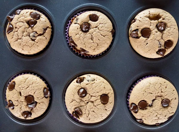 Muffins Hechos Casa Vainilla Chocolate Chips Sobre Fondo Negro — Foto de Stock