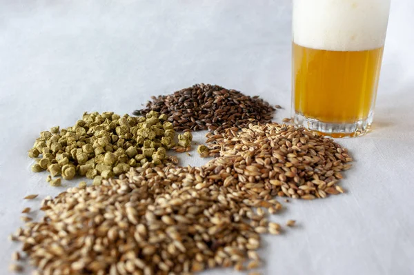 An amber lager beer and its component over a withe background. — Stock Photo, Image