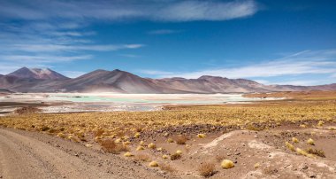 Şili'nin kuzeyi, Atacama ve Salar de Tara
