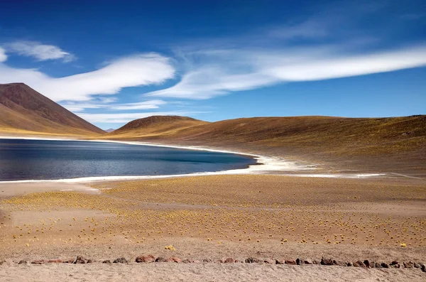 Au nord du Chili, Atacama et Salar de Tara — Photo