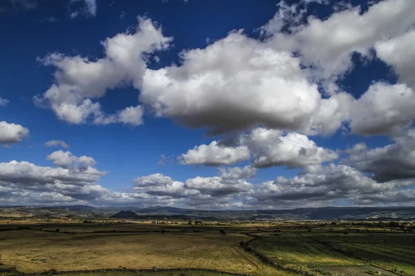 Bir düz tipik Sardunyalı bitki üzerinde bir yoğun Akdeniz mavi ve beyaz bulutlar doğal renkleri ile berrak gökyüzü