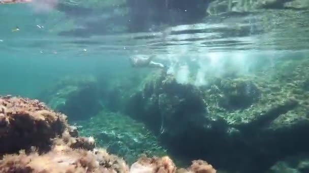 Zeitlupe Einer Schönen Jungen Frau Einem Schwarzen Bikini Vom Unterwasserschwimmen — Stockvideo