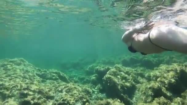 Movimiento Lento Una Hermosa Mujer Joven Bikini Negro Tomado Natación — Vídeos de Stock