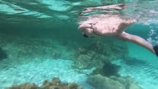 Zeitlupe Einer Schönen Jungen Frau Einem Schwarzen Bikini Vom Unterwasserschwimmen — Stockvideo
