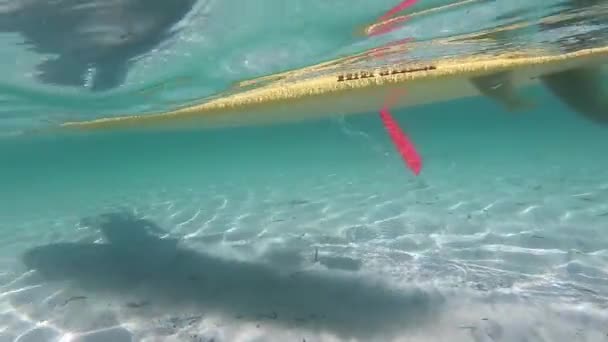 Esportes Aquáticos Passagem Câmera Lenta Tabuleiro Remo Branco Retirado Subaquático — Vídeo de Stock