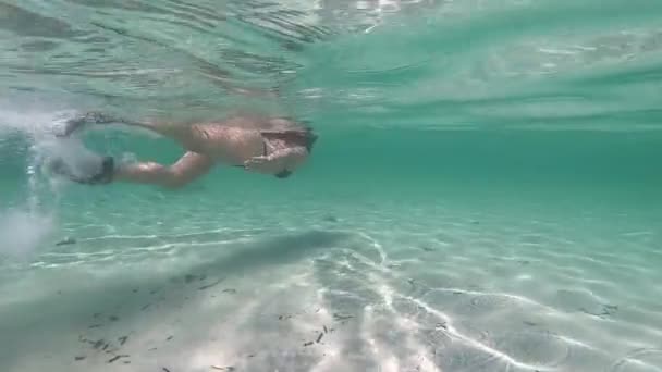 Zeitlupe Einer Schönen Jungen Frau Einem Schwarzen Bikini Vom Unterwasserschwimmen — Stockvideo