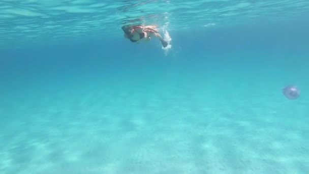 Una Joven Hermosa Mujer Filmada Cámara Lenta Bajo Agua Nada — Vídeos de Stock