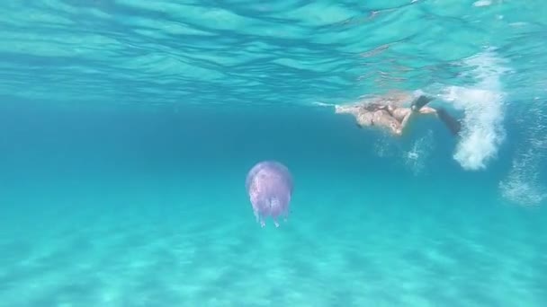 一个年轻的美丽的女人拍摄在慢动作水下游泳在透明的蓝色与Rhizostoma脉冲 俗称桶水母 垃圾箱盖水母或褶皱口水母 — 图库视频影像