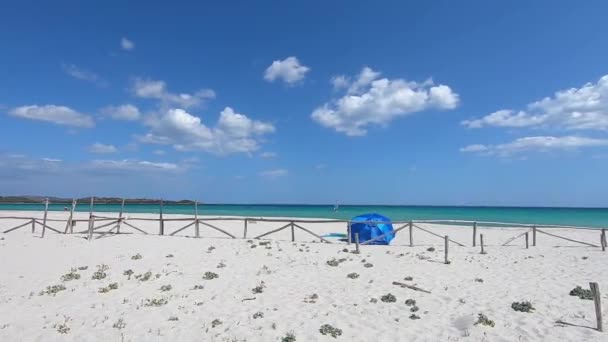 荒凉的白色海滩 从背后看到蓝色沙滩伞 在蓝色大海和天空的背景下飘扬 而风帆冲浪在海上通过 — 图库视频影像