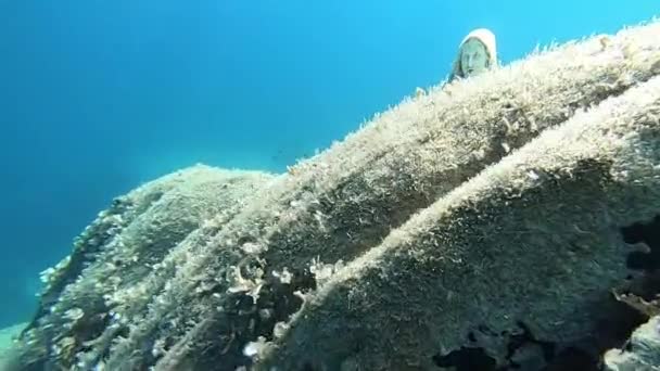 Unterwasseraufnahmen Einer Statue Der Seligen Jungfrau Maria Inmitten Zweier Felsen — Stockvideo