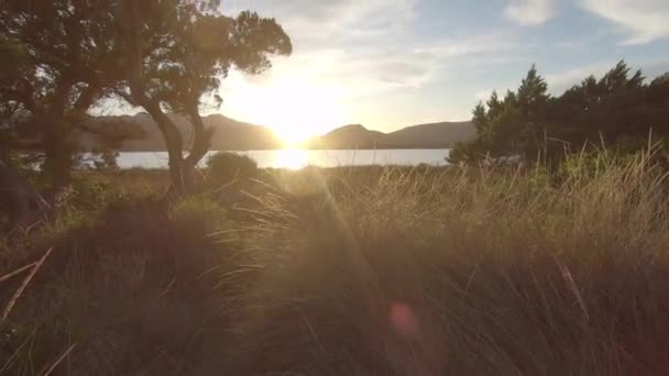 Panoramische Sprookjesfilm Bij Zonsondergang Een Zee Lagune Met Vegetatie Bergsilhouet — Stockvideo