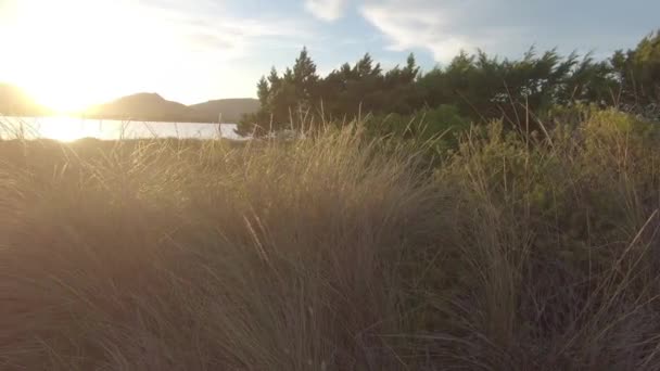 Película Panorámica Cuento Hadas Atardecer Una Laguna Marina Con Vegetación — Vídeos de Stock