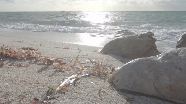 Ângulo Visão Retroiluminado Grãos Areia Quartzo Branco Com Ondas Mar — Vídeo de Stock