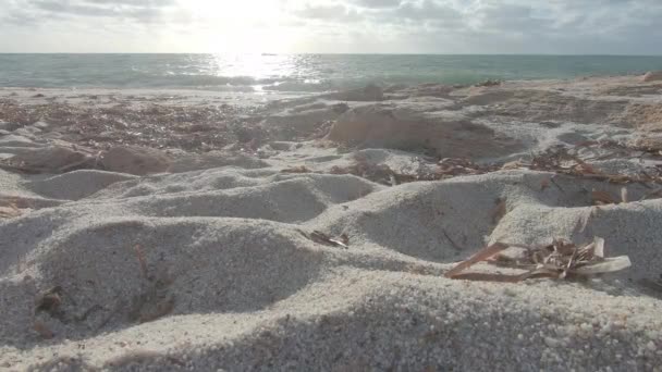 Ângulo Visão Retroiluminado Grãos Areia Quartzo Branco Com Ondas Mar — Vídeo de Stock