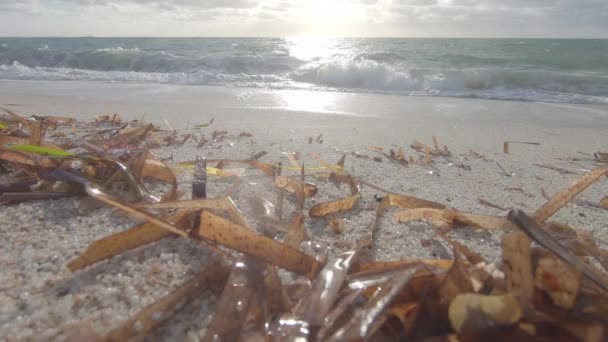 真っ白な石英砂の海岸には 海の波がそれらを濡らすようになり 背景には曇った空とPosidonia海藻の魅惑的なバックライト表示角度 — ストック動画