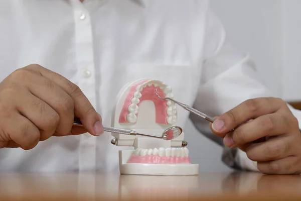 Pomocą Narzędzia Zęby Dentysta Modelu Gabinecie Stomatologicznym Profesjonalne Klinika Stomatologiczna — Zdjęcie stockowe