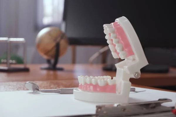 Модель зубов на стоматологическом столе в офисе, стоматологической и медицинской концепции — стоковое фото