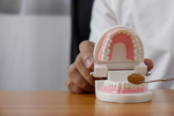 Za pomocą narzędzia modelu zębów w gabinecie stomatologicznym profesjonalny gabinet stomatologiczny dentysta, koncepcja medycznych i stomatologicznych — Zdjęcie stockowe