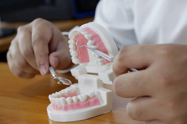 Za pomocą narzędzia modelu zębów w gabinecie stomatologicznym profesjonalny gabinet stomatologiczny dentysta, koncepcja medycznych i stomatologicznych — Zdjęcie stockowe