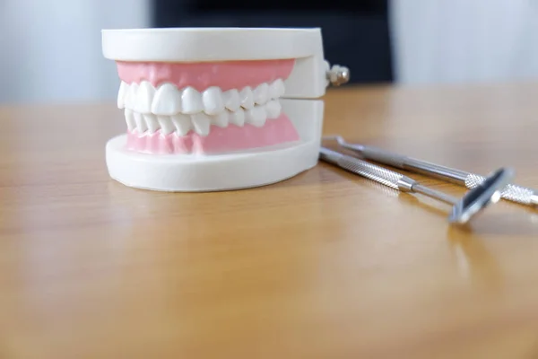 Modelu zębów na stoliku w biurze, koncepcja medycznych i stomatologicznych — Zdjęcie stockowe