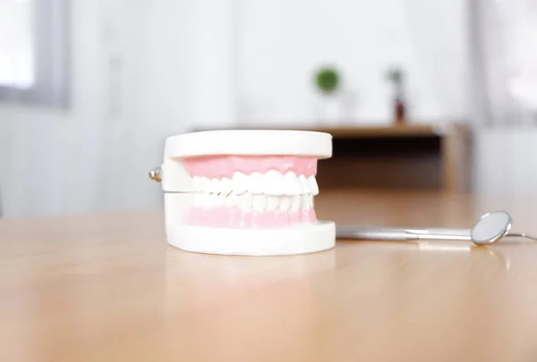 Modelu zębów na stoliku w biurze, koncepcja medycznych i stomatologicznych — Zdjęcie stockowe