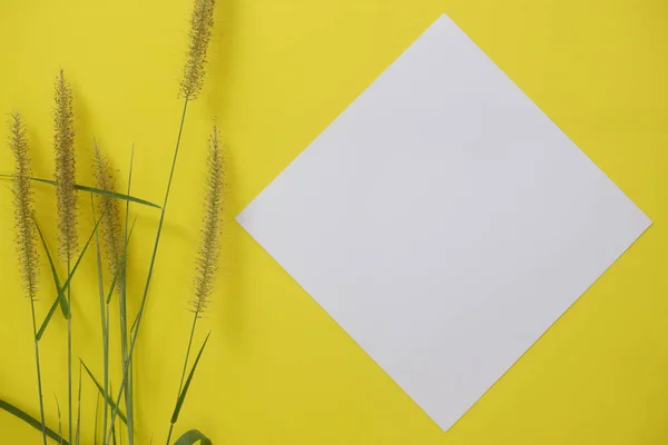 Mock-up white paper with space for text or picture on yellow background and flower