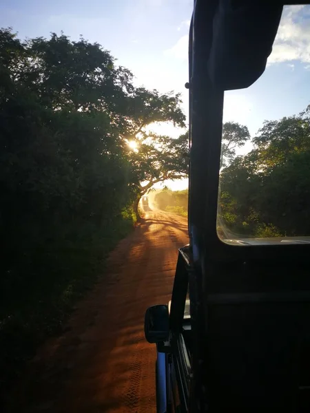 Safari i Yala naturreservat p Sri Lanka
