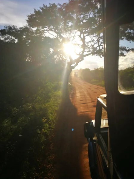 Safari p Sri Lanka i Yala naturreservat