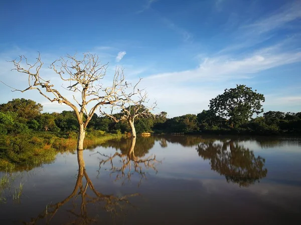 Yala doğal rezervi, Sri Lanka 