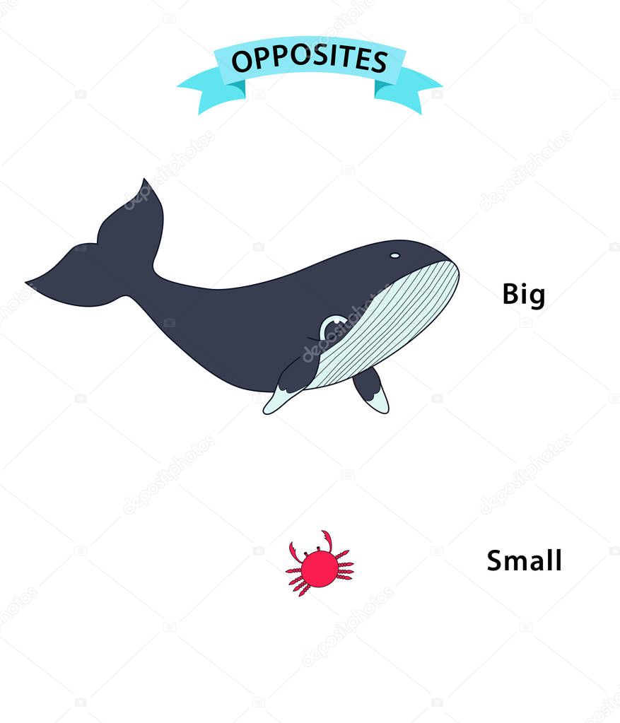 Wordcard for big and small antonyms and opposites. Cartoon characters illustration on white background. Card for teaching aid, for foreign language learning lessons. Vector illustration