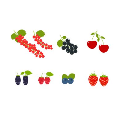Sulu çilek, çilek, ahududu, kiraz, kırmızı frenk üzümü, siyah frenk üzümü, yaban mersini, böğürtlen büyük set