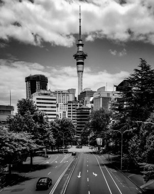 Auckland City görünümünü