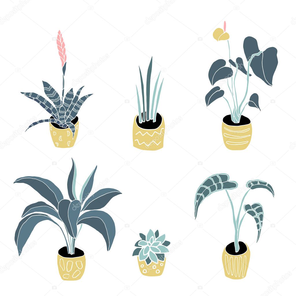 House Plants set