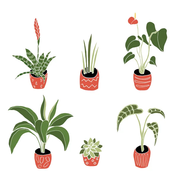 Plantas de casa em vasos vetor desenhado à mão ilustração. Planta doméstica plana isolada . — Vetor de Stock