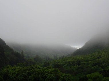 Okyanus IAO Valley State Parkı'sisli bir gün zarfında Maui - Hawaii görüntüleyin