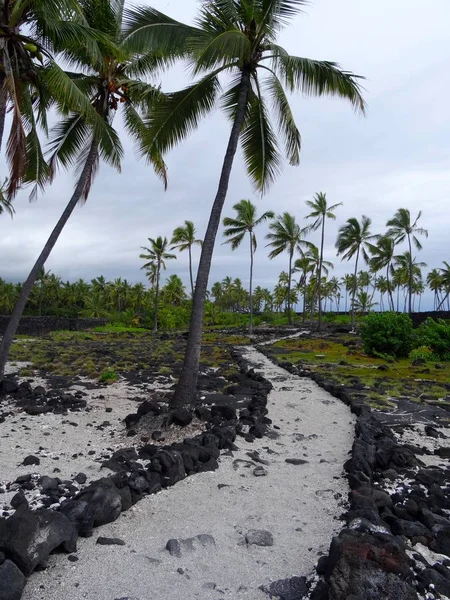 Een Zanderig Pad Naar Enkele Palmbomen Het Uhonua Honaunau Nationaal — Stockfoto