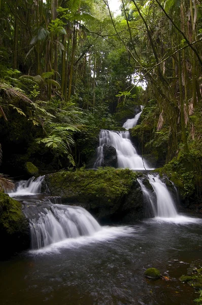 Der Onomea Wasserfall Tropischen Botanischen Garten Maui Hawaii — Stockfoto